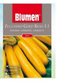 ZUCCA ZUCCHINO gold rush f 1