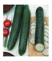 busta semi cetriolo lungo degli ortolani